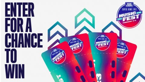 Bud Light Seltzer Pregame Music Festival Sweepstakes